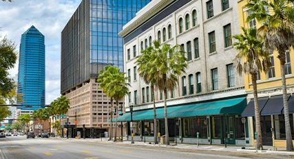 Commercial Pest Control