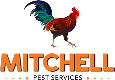 Company logo with a fully rendered large colored rooster illustration. Underneath of which is "Mitchell" in bold capital letters in the color orange. Under that in a smaller black font is "Pest Services" with four orange dots on each side of the word.