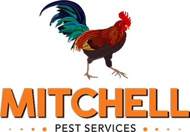 Mitchell Pest Services